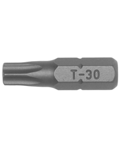 Grot typu TX TX30 długość 25 mm 