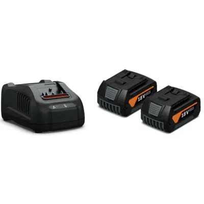 Zestaw akumulatorów FEIN GBA18V 5Ah x2 + GAL1880 | Sklep