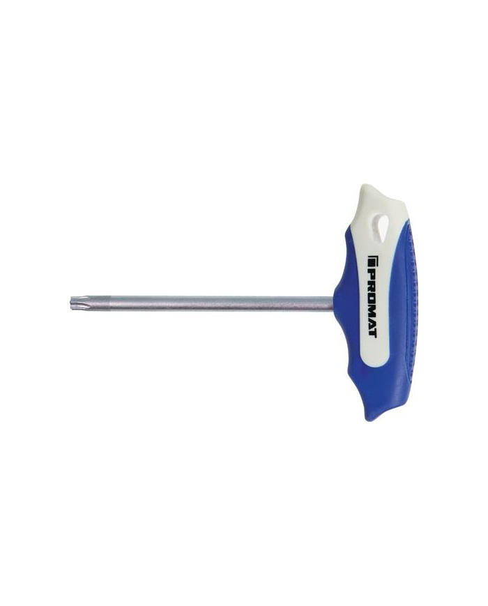 Wkrętak uchw.poprz. T10x100mm 2-komp.