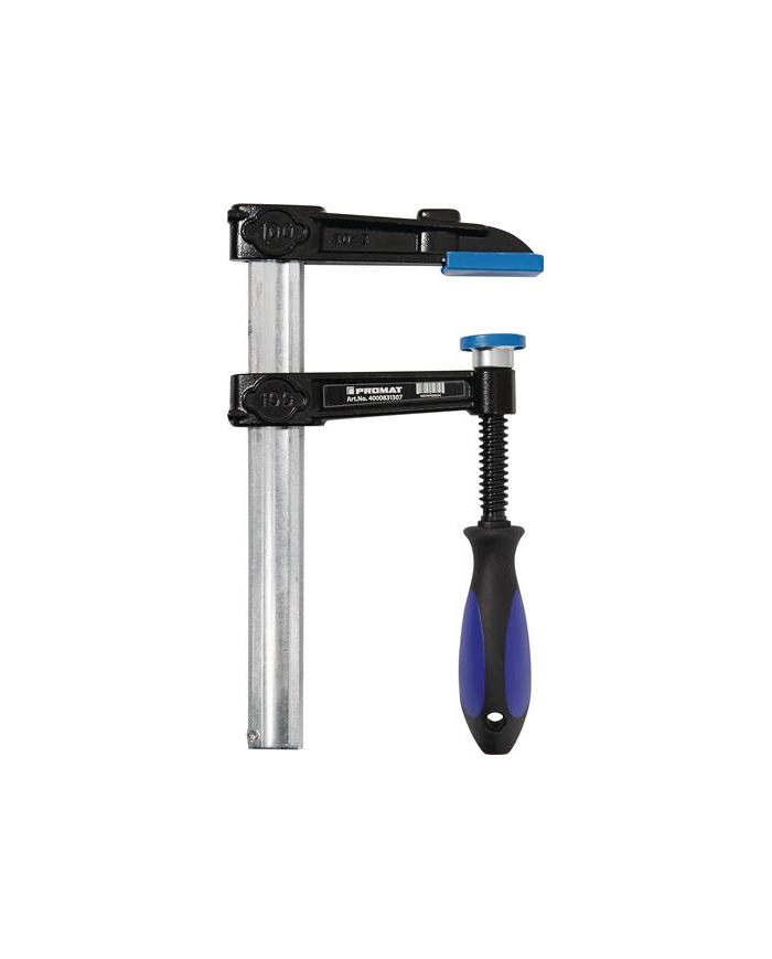 Ścisk śrubowy żeliwny 120x65mm uchw.3-komp.