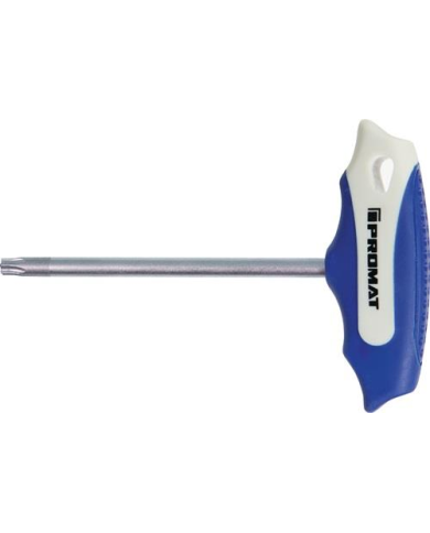 Wkrętak uchw.poprz. T20x100mm 2-komp.